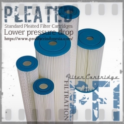 Big Blue Pleated Cartridge Filter Indonesia  large