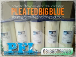 Big Blue Pleated Cartridge Filter Indonesia  large