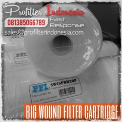 Big Wound Cartridge Filter Indonesia  large