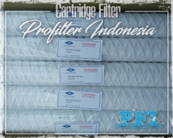 CBCW60 Continental Cartridge Filter Indonesia  large