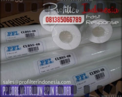 CLRS5 Filter Cartridge Indonesia  large