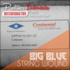 CPPW110 Continental Filter Cartridge Indonesia  medium