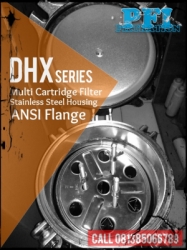 DHX Series Housing Multi Cartridge Filter Indonesia  large