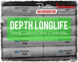 DLSW String Wound Filter Cartridge Indonesia  large