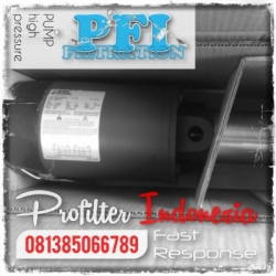 Flint and Walling Pump Profilter Indonesia  large