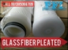 Glass Fiber Pleated Amine Filter Cartridge Indonesia  medium