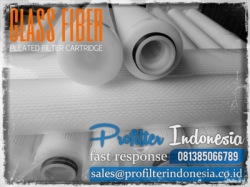 Glass Fiber Pleated PFI Filter Cartridge Indonesia  large