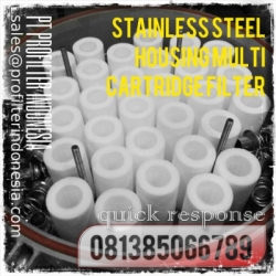 Housing Multi Cartridge Filter Indonesia  large