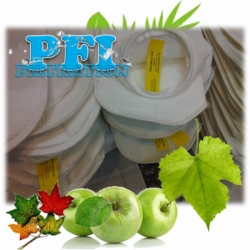 PFI PESG 005 SE SPS bag filter  large