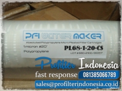 PL68 Pleated Filter Cartridge Indonesia  large