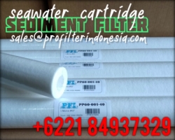 PP60 Spun Filter Cartridge Indonesia  large