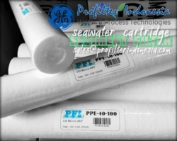 PPE 100 filter cartridge indonesia  large