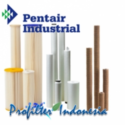 Pentair Cartridge Filter Indonesia  large