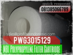 Pentair MBL PWG Filter Cartridge Indonesia  large