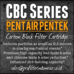 Pentair Pentek CBC Carbon Block Cartridge Filter Indonesia  large