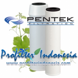 Pentek CC 20 Coconut Shell Granular Activated Carbon Cartridge Filter profilterindonesia  large