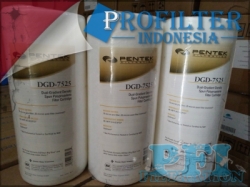 Pentek DGD Filter Cartridge Indonesia  large