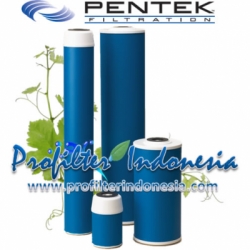 Pentek GAC 10 Granular Activated Carbon Cartridge Filter PN 155109 43 profilterindonesia  large