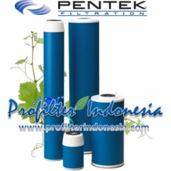 Pentek GAC 20 Granular Activated Carbon Cartridge Filter PN 155111 43 profilterindonesia  large