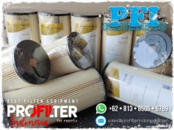 Pentek S1 BB Pleated Filter Cartridge Indonesia  large