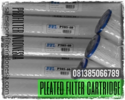 Pleated Polyester Cartridge Filter Indonesia  large