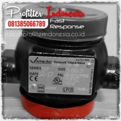 Victaulic Check Valve Indonesia  large