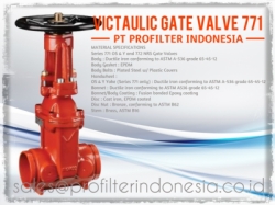 Victaulic Gate Valve 771 Indonesia  large