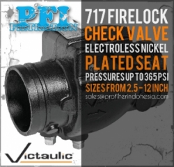 Victaulic Series 717 FireLock Check Valve Profilter Indonesia  large