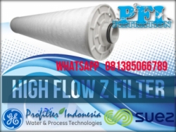 d Suez High Flow Z Filter  large