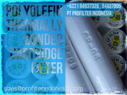d d d d d Cleal JNC GF CP PFI Filter Cartridge Indonesia  large