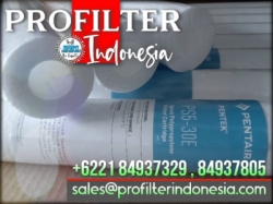 d pentek ps5 cartridge filter pentair indonesia  large