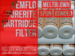 kemflo purerite cartridge filter indonesia  large