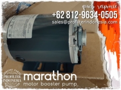 ro motor pump marathon  large