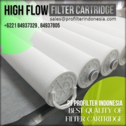 suez high flow filter cartridge indonesia  large