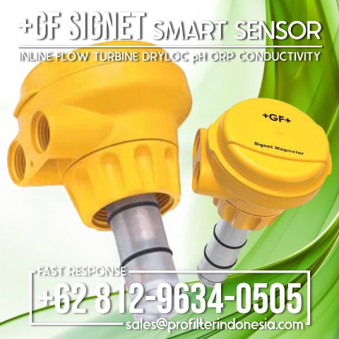 GF Signet 2551 Magmeter Flow Sensor Indonesia