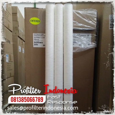 Purtrex Filter Cartridge Indonesia